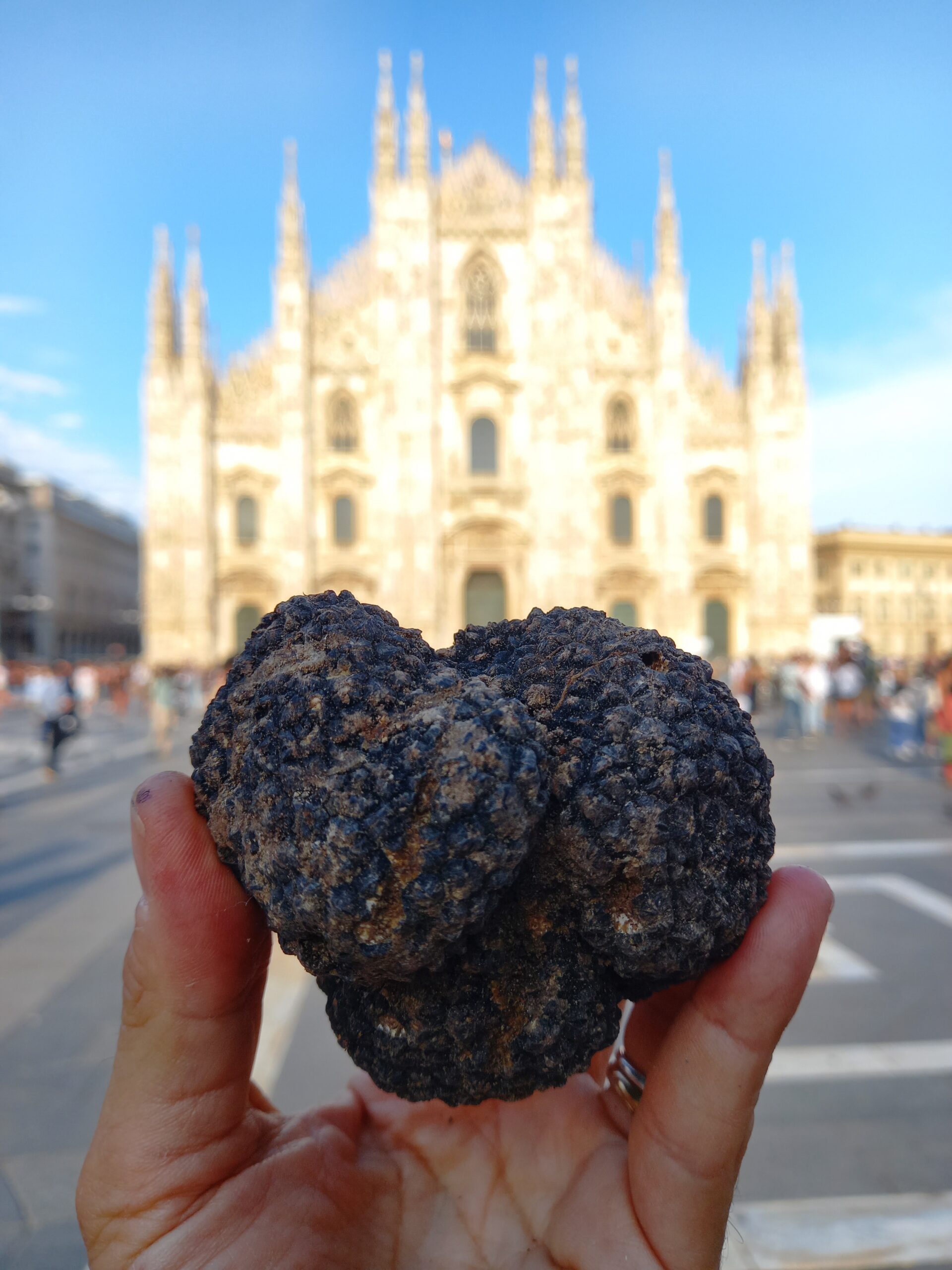Lombardia, terra di tartufi
